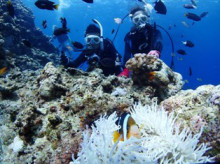 沖縄青の洞窟ダイビングショップ【マリンクラブクレアブログ】