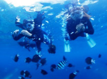 沖縄青の洞窟ダイビングショップ【マリンクラブクレアブログ】