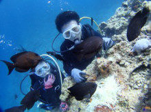 沖縄青の洞窟ダイビングショップ【マリンクラブクレアブログ】