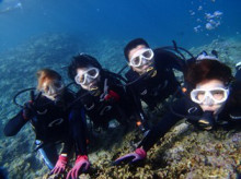 沖縄青の洞窟ダイビングショップ【マリンクラブクレアブログ】