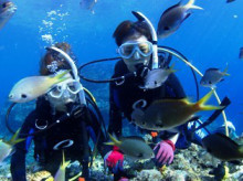 沖縄青の洞窟ダイビングショップ【マリンクラブクレアブログ】