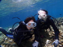 沖縄青の洞窟ダイビングショップ【マリンクラブクレアブログ】