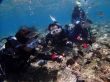 沖縄青の洞窟ダイビングショップ【マリンクラブクレアブログ】