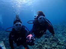 沖縄青の洞窟ダイビングショップ【マリンクラブクレアブログ】