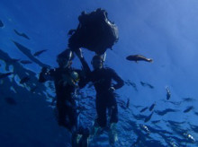 沖縄青の洞窟ダイビングショップ【マリンクラブクレアブログ】