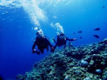 沖縄青の洞窟ダイビングショップ【マリンクラブクレアブログ】