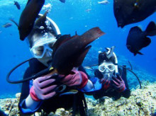 沖縄青の洞窟ダイビングショップ【マリンクラブクレアブログ】