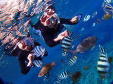 沖縄青の洞窟ダイビングショップ【マリンクラブクレアブログ】