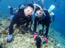 沖縄青の洞窟ダイビングショップ【マリンクラブクレアブログ】