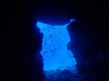 沖縄青の洞窟ダイビングショップ【マリンクラブクレアブログ】