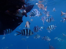 沖縄青の洞窟ダイビングショップ【マリンクラブクレアブログ】