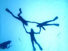 沖縄青の洞窟ダイビングショップ【マリンクラブクレアブログ】