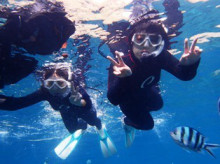 沖縄青の洞窟ダイビングショップ【マリンクラブクレアブログ】