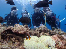 沖縄青の洞窟ダイビングショップ【マリンクラブクレアブログ】