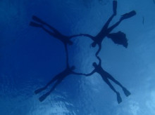 沖縄青の洞窟ダイビングショップ【マリンクラブクレアブログ】