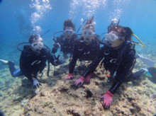 沖縄青の洞窟ダイビングショップ【マリンクラブクレアブログ】