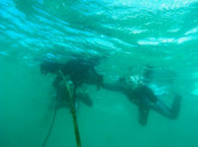 沖縄青の洞窟ダイビングショップ【マリンクラブクレアブログ】