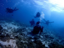 沖縄青の洞窟ダイビングショップ【マリンクラブクレアブログ】