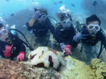 沖縄青の洞窟ダイビングショップ【マリンクラブクレアブログ】