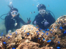 沖縄青の洞窟ダイビングショップ【マリンクラブクレアブログ】