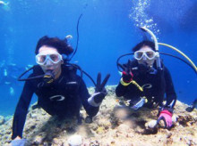 沖縄青の洞窟ダイビングショップ【マリンクラブクレアブログ】