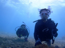 沖縄青の洞窟ダイビングショップ【マリンクラブクレアブログ】