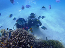 沖縄青の洞窟ダイビングショップ【マリンクラブクレアブログ】