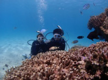 沖縄青の洞窟ダイビングショップ【マリンクラブクレアブログ】