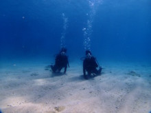 沖縄青の洞窟ダイビングショップ【マリンクラブクレアブログ】