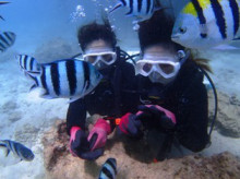 沖縄青の洞窟ダイビングショップ【マリンクラブクレアブログ】