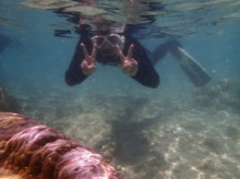 沖縄青の洞窟ダイビングショップ【マリンクラブクレアブログ】