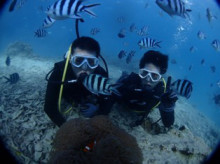 沖縄青の洞窟ダイビングショップ【マリンクラブクレアブログ】