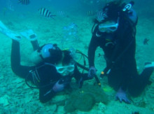 沖縄青の洞窟ダイビングショップ【マリンクラブクレアブログ】