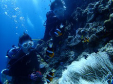 沖縄青の洞窟ダイビングショップ【マリンクラブクレアブログ】