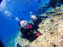 沖縄青の洞窟ダイビングショップ【マリンクラブクレアブログ】