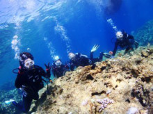 沖縄青の洞窟ダイビングショップ【マリンクラブクレアブログ】