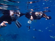 沖縄青の洞窟ダイビングショップ【マリンクラブクレアブログ】