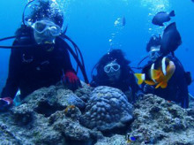 沖縄青の洞窟ダイビングショップ【マリンクラブクレアブログ】