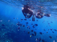 沖縄青の洞窟ダイビングショップ【マリンクラブクレアブログ】