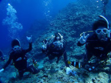 沖縄青の洞窟ダイビングショップ【マリンクラブクレアブログ】