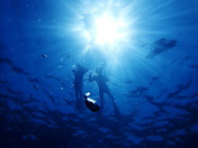 沖縄青の洞窟ダイビングショップ【マリンクラブクレアブログ】