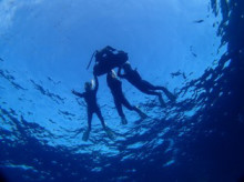 沖縄青の洞窟ダイビングショップ【マリンクラブクレアブログ】