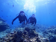 沖縄青の洞窟ダイビングショップ【マリンクラブクレアブログ】