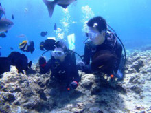 沖縄青の洞窟ダイビングショップ【マリンクラブクレアブログ】