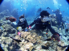 沖縄青の洞窟ダイビングショップ【マリンクラブクレアブログ】