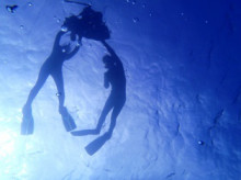 沖縄青の洞窟ダイビングショップ【マリンクラブクレアブログ】