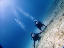 沖縄青の洞窟ダイビングショップ【マリンクラブクレアブログ】