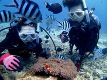 沖縄青の洞窟ダイビングショップ【マリンクラブクレアブログ】