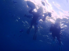 沖縄青の洞窟ダイビングショップ【マリンクラブクレアブログ】