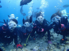 沖縄青の洞窟ダイビングショップ【マリンクラブクレアブログ】